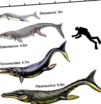 Dakosaurus maximus европа