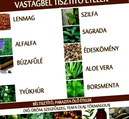 почистване detox