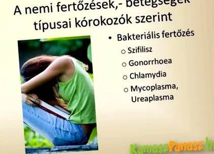 бактерия