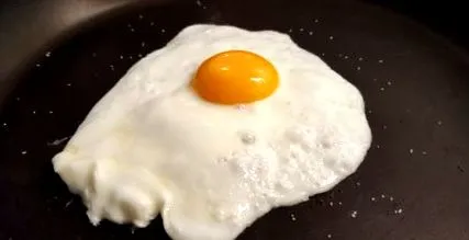 яйца яйца