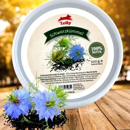 кучета кучета