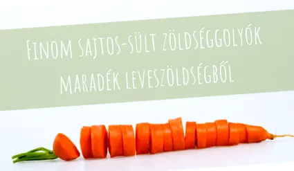 webshop webshop