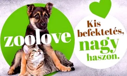 zoolove отношение животните