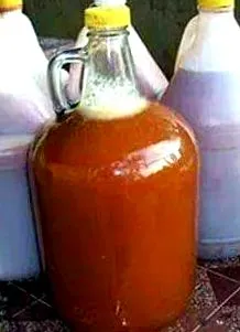 кишковому коста-ріка
