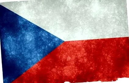 премиер иска