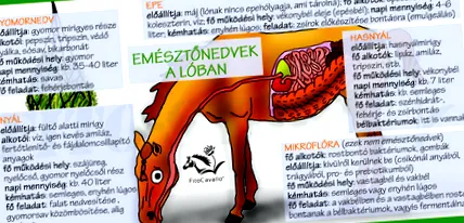 имунната червеите