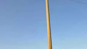 oszlop madarak