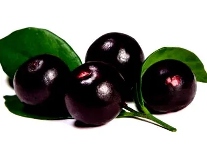 acai acai