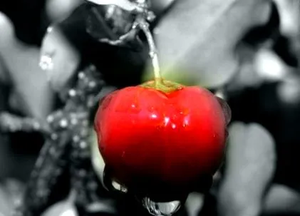 acerola juice