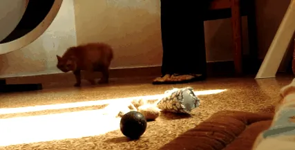 хворий знущаний