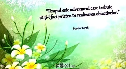 motivációs