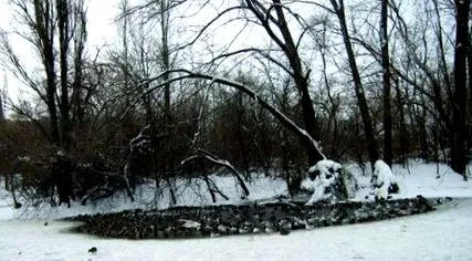 športovú