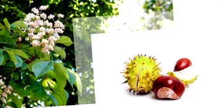 Антицелулитна масажа вакуум