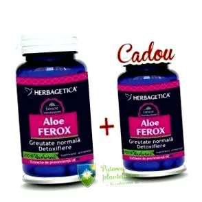 ferox aloe