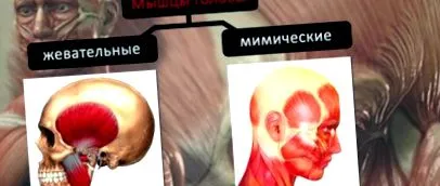 működésük