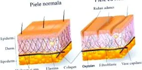 objavujú
