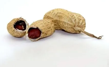 előnyök