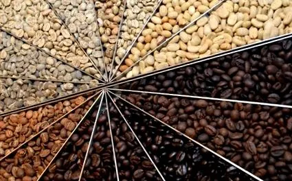 Arabica Robusta