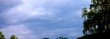 cikkek