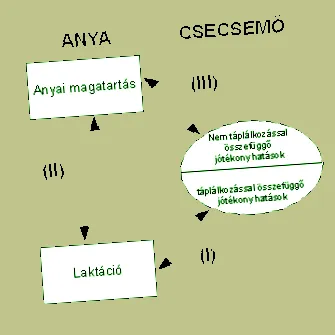 ефекти ефекти