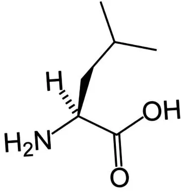 щодо bcaa