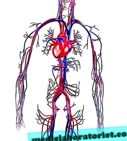 oxiurilor oxiurilor