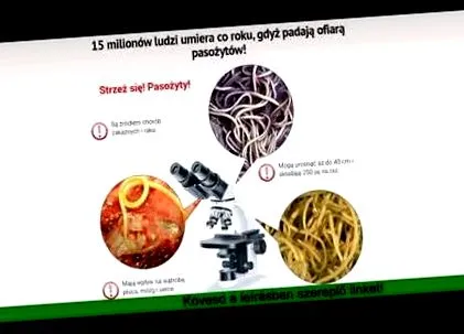 організм навигация