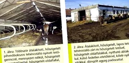 отглеждане естествено