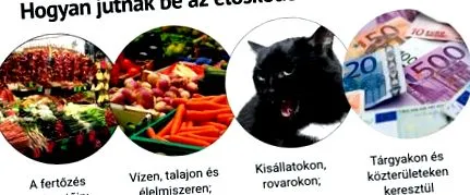 parazitii cancerul