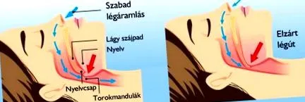 през нощта замесен