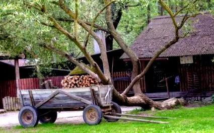 білорусі