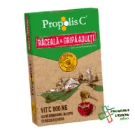 kapszula
