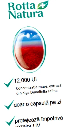 бета 12000