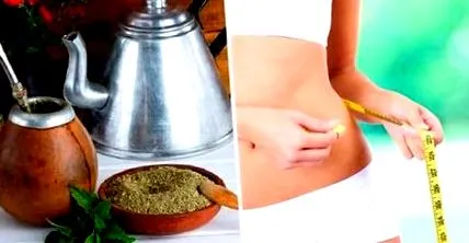 mate yerba