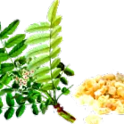 természetes