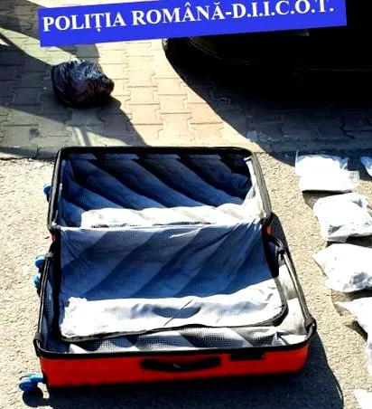 килограми канабис