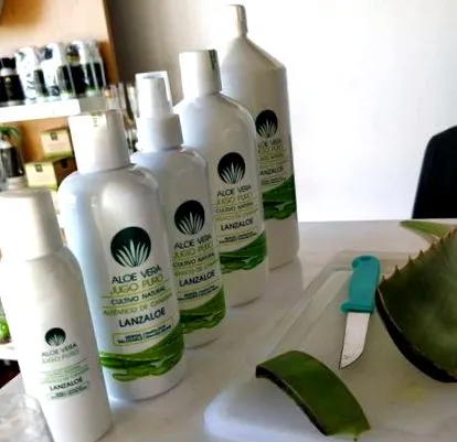 vera aloe