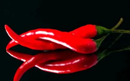 összetevői