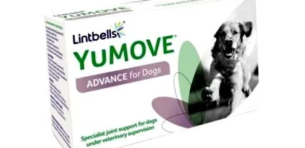 Advance Articular