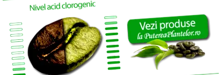 kávé