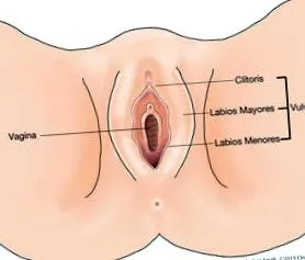 vulvar kezelés