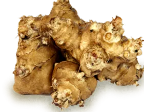 kapsuly