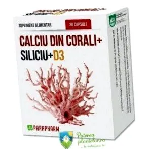 coral coral