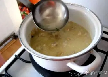 украс лигњи