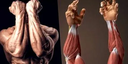 victor
