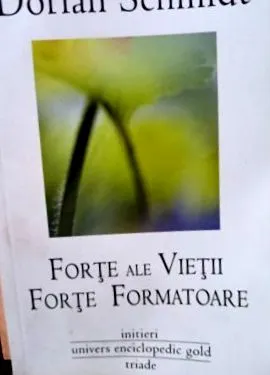 бота