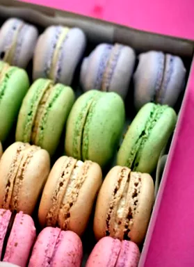 macaron tutibar