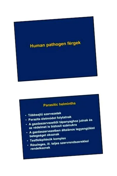 форма носител