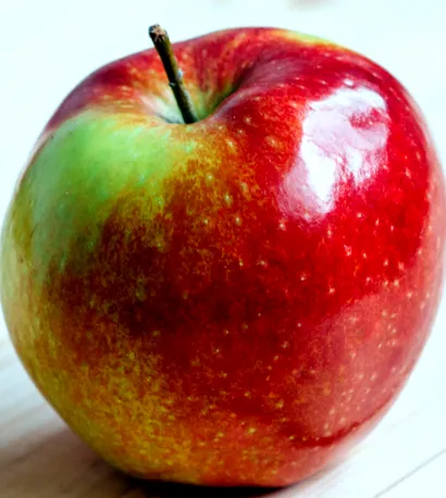 fruit fruit