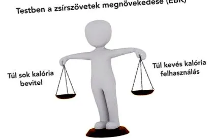 тегло медицина